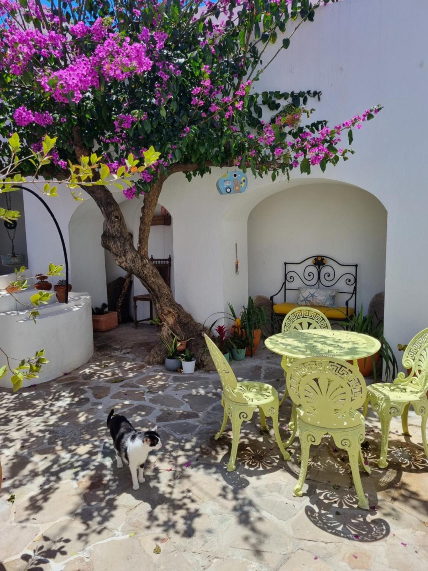Castle House And Beach Sines Εξωτερικό φωτογραφία